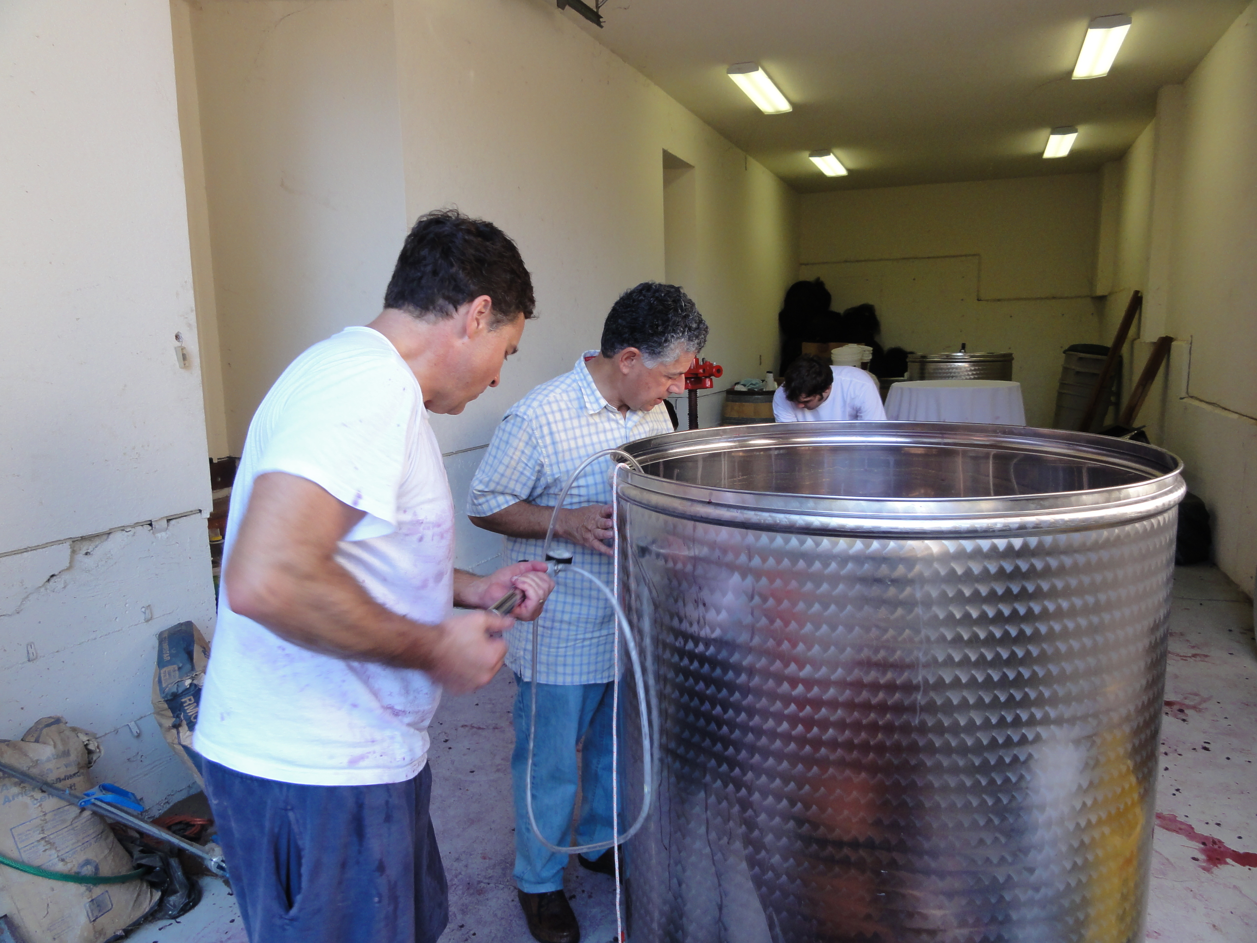 DSC00951.JPG DSC00951.JPG