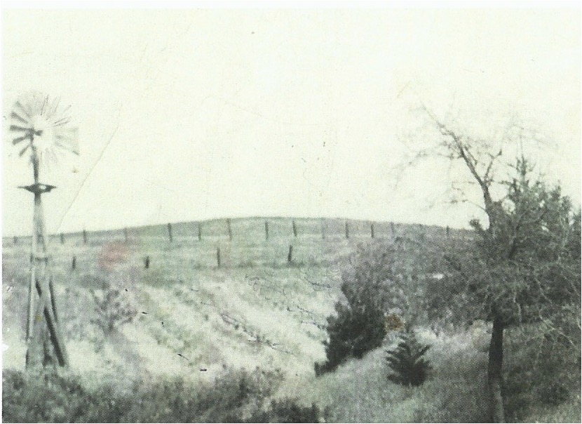 Rossi Vineyard 100 Years Ago at Present Site of Reliez Valley Vineyards Rossi Vineyard 100 Years Ago at Present Site of Reliez Valley Vineyards