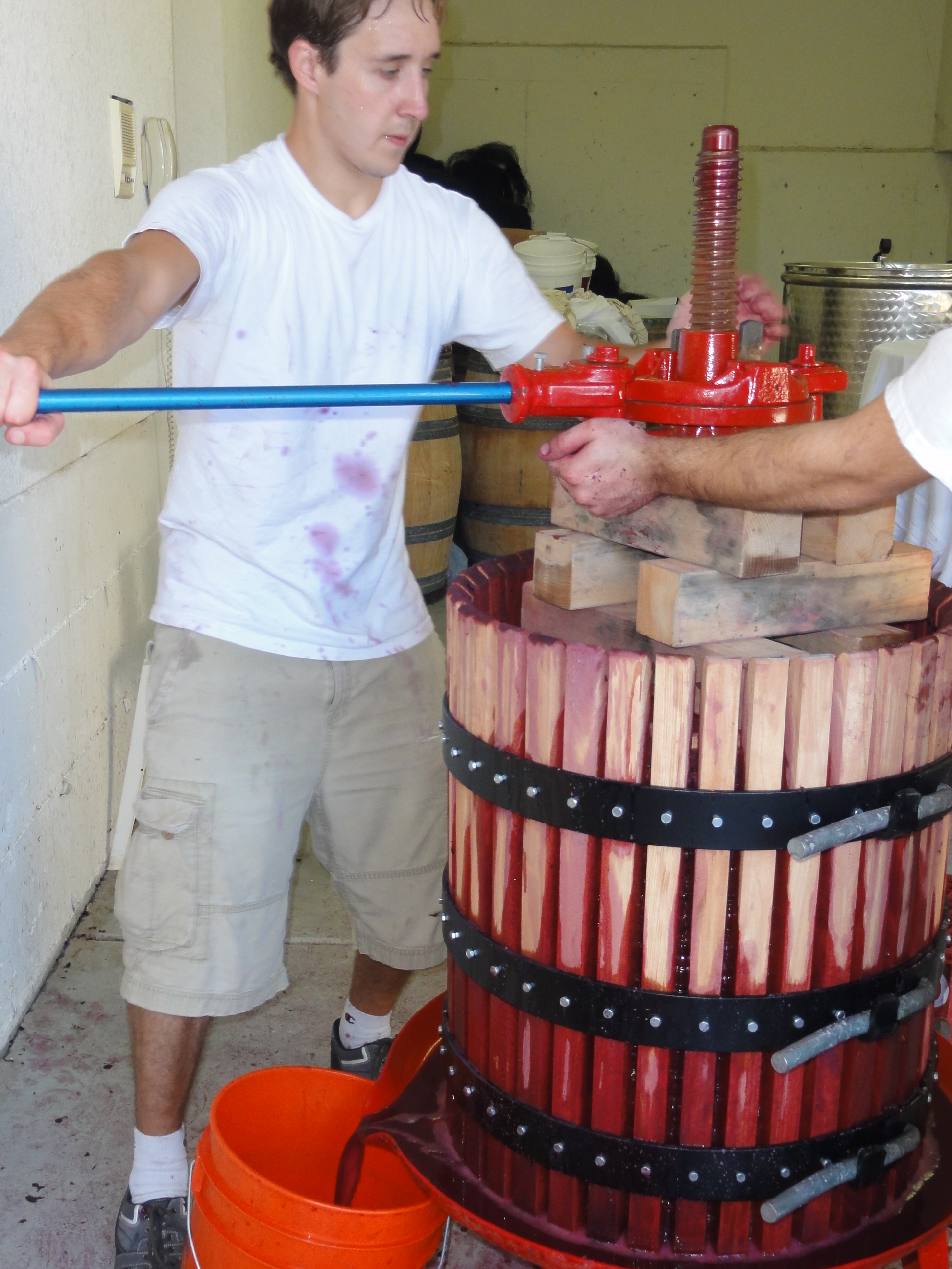 DSC00948.JPG DSC00948.JPG