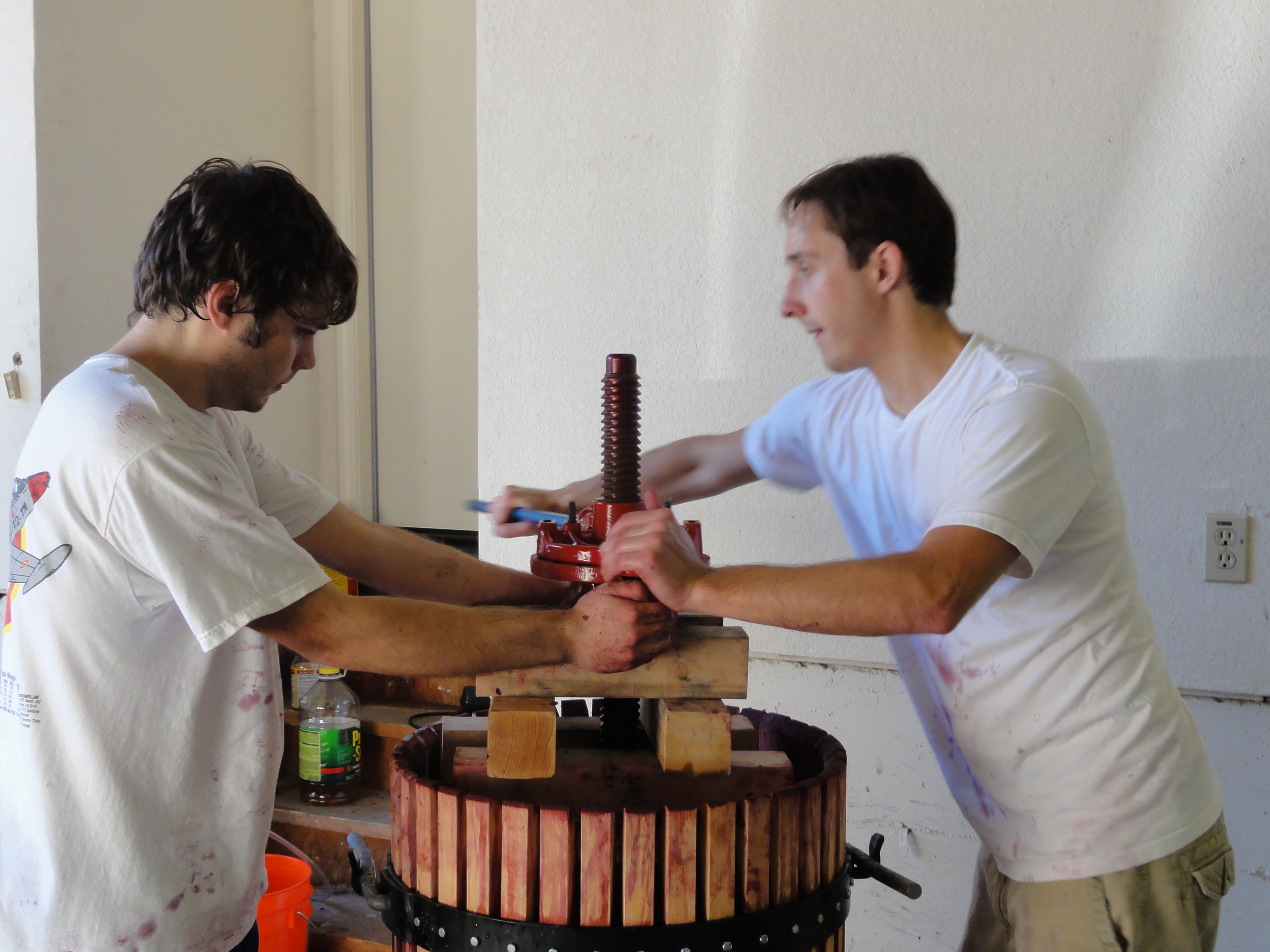 DSC00946.JPG DSC00946.JPG