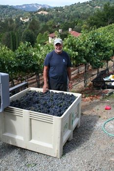 14645_100906166603139_2453430_n.jpg 14645_100906166603139_2453430_n.jpg