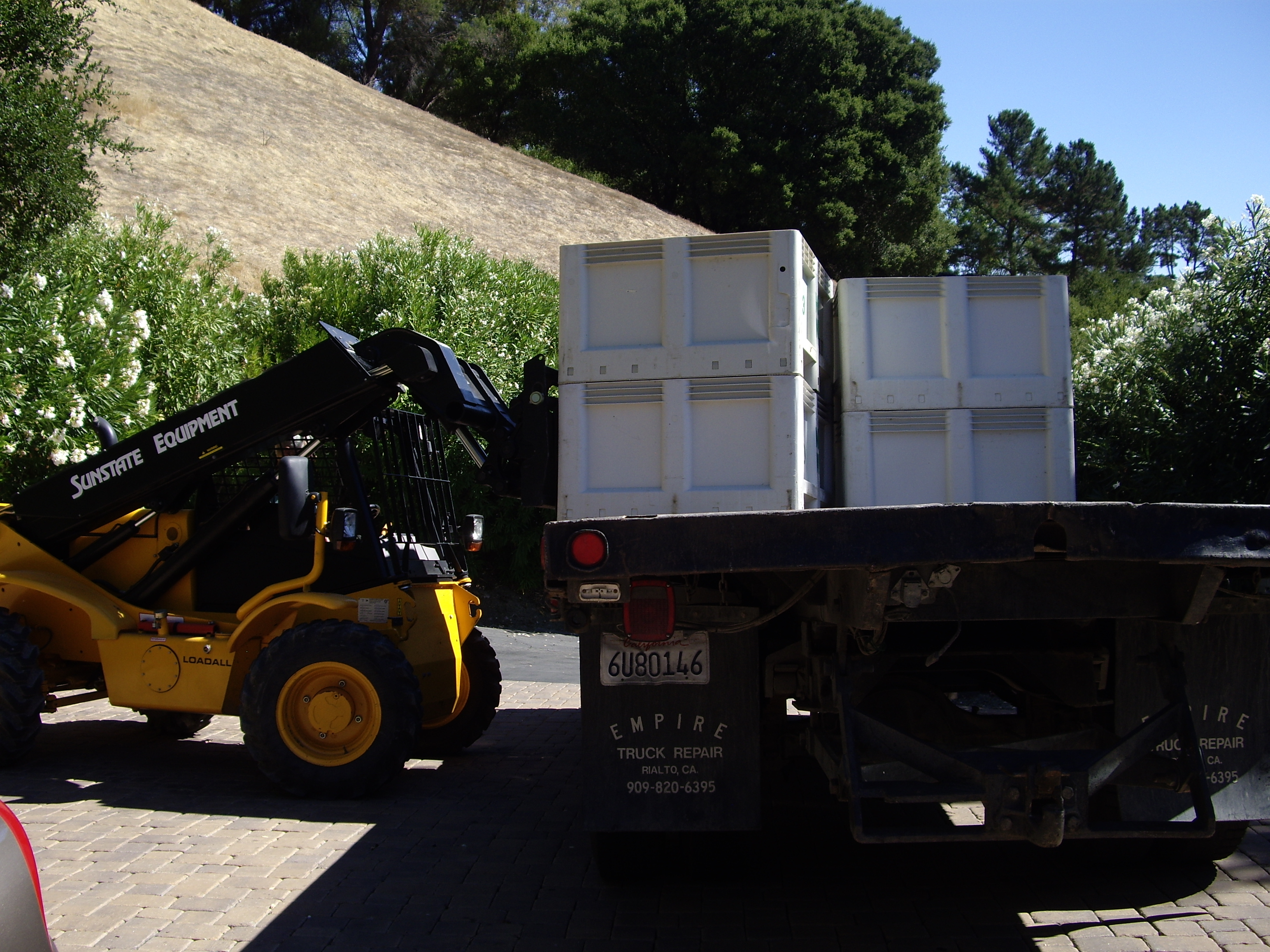 IMGP1557.JPG IMGP1557.JPG