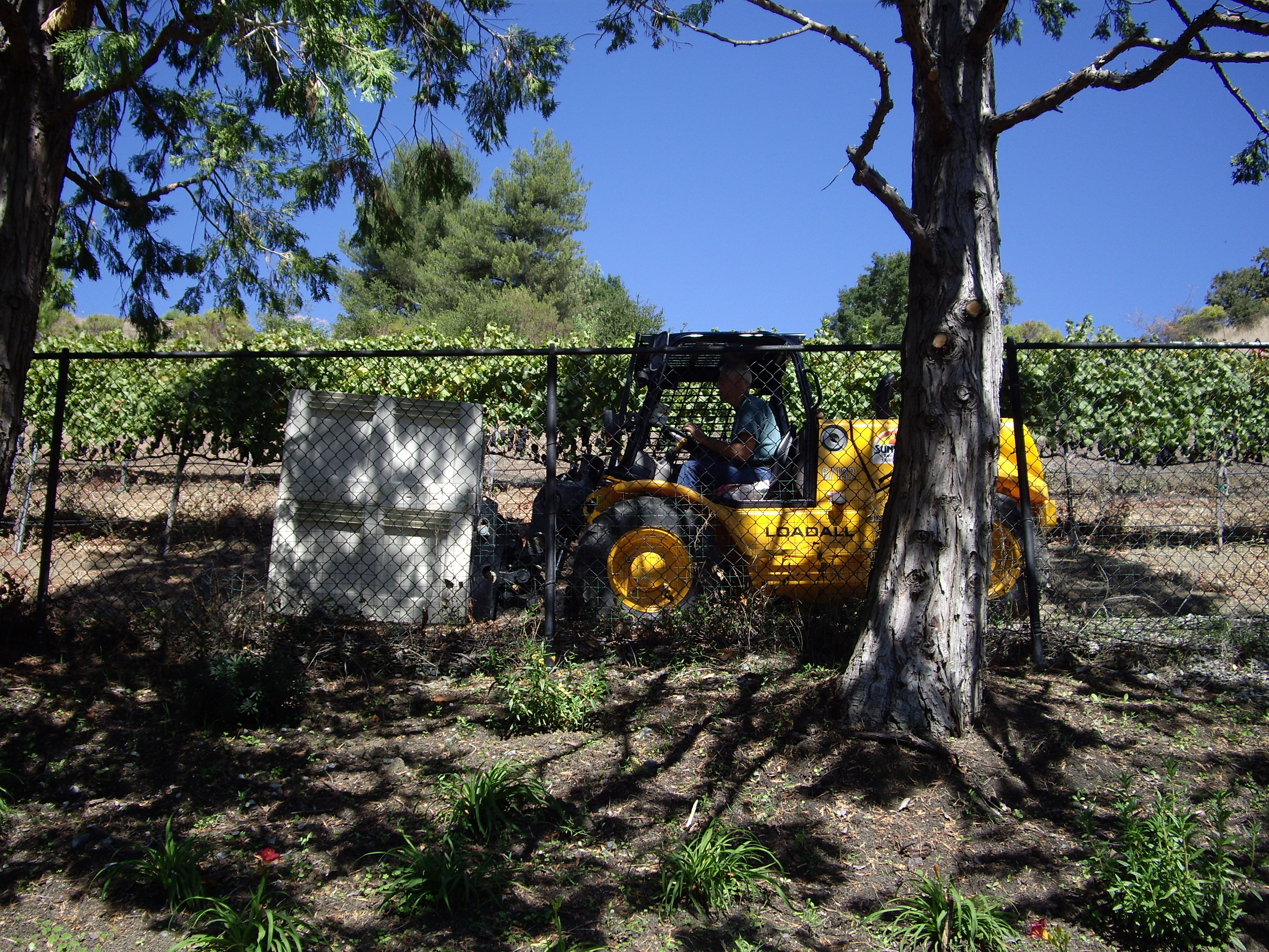 IMGP1558.JPG IMGP1558.JPG