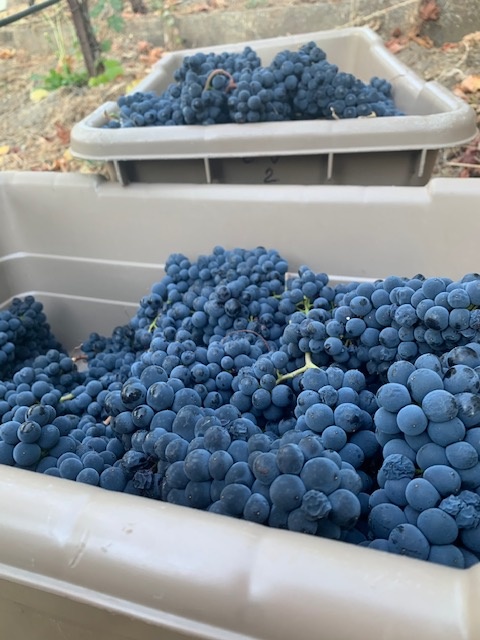 202111.jpg 202111.jpg