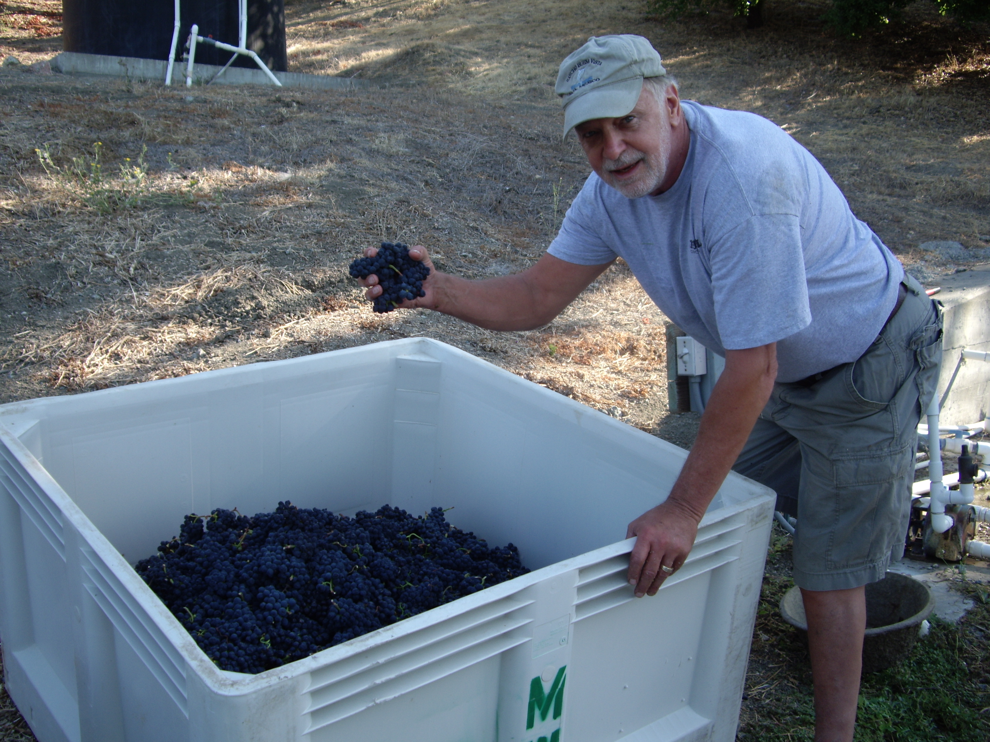 IMGP2024.JPG IMGP2024.JPG