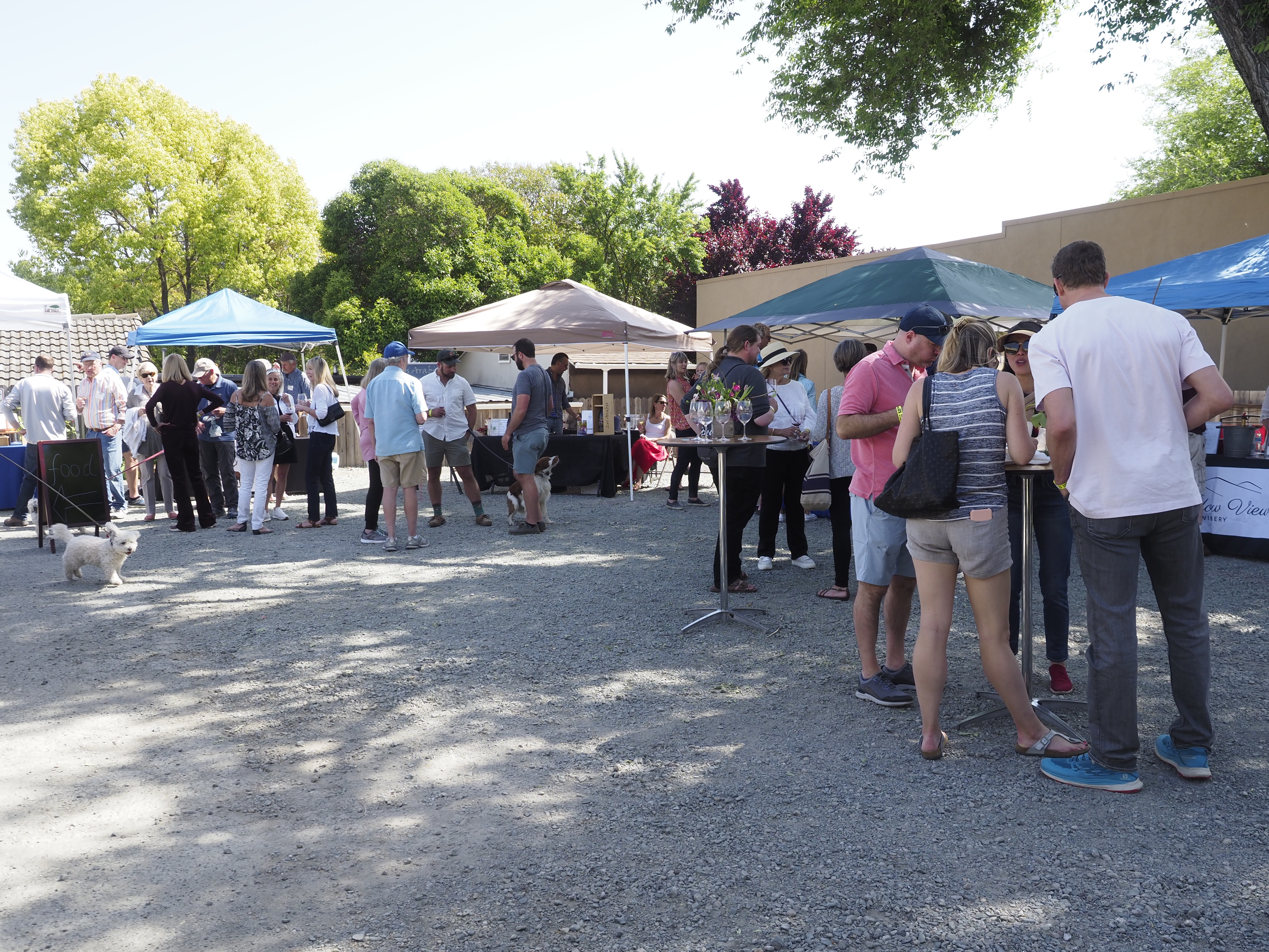 _5011087.JPG _5011087.JPG