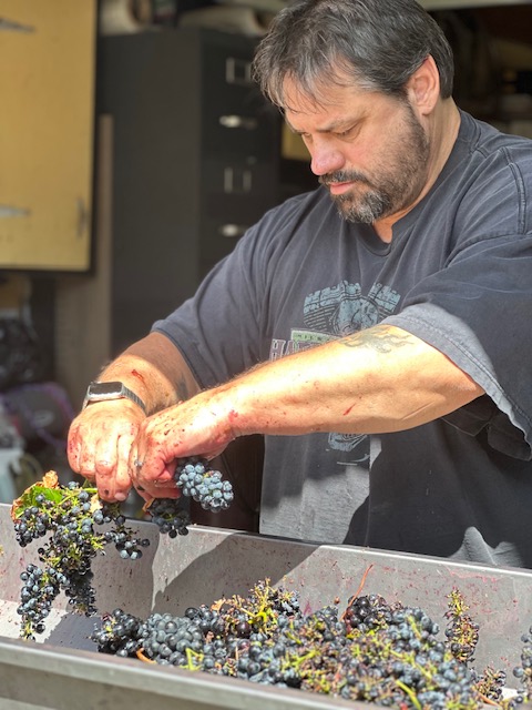 harvest 2022 harvest 2022