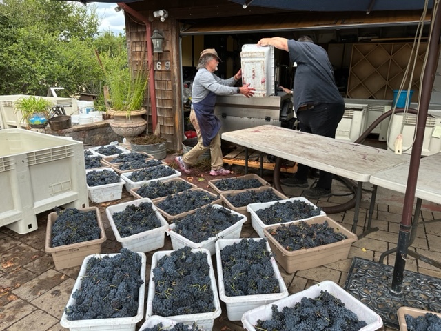 h2022c.jpg h2022c.jpg