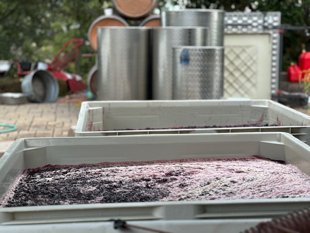 h2022b.jpg h2022b.jpg