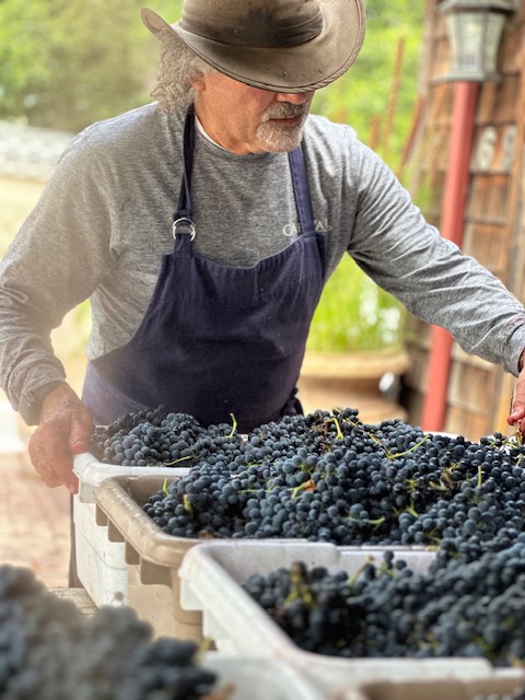 h2022a.jpg h2022a.jpg