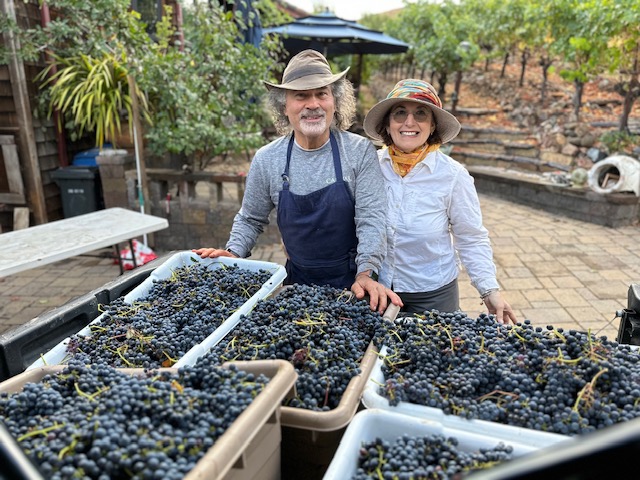 h2022e.jpg h2022e.jpg