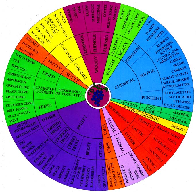 Wine Vocabulary wheel Wine Vocabulary wheel