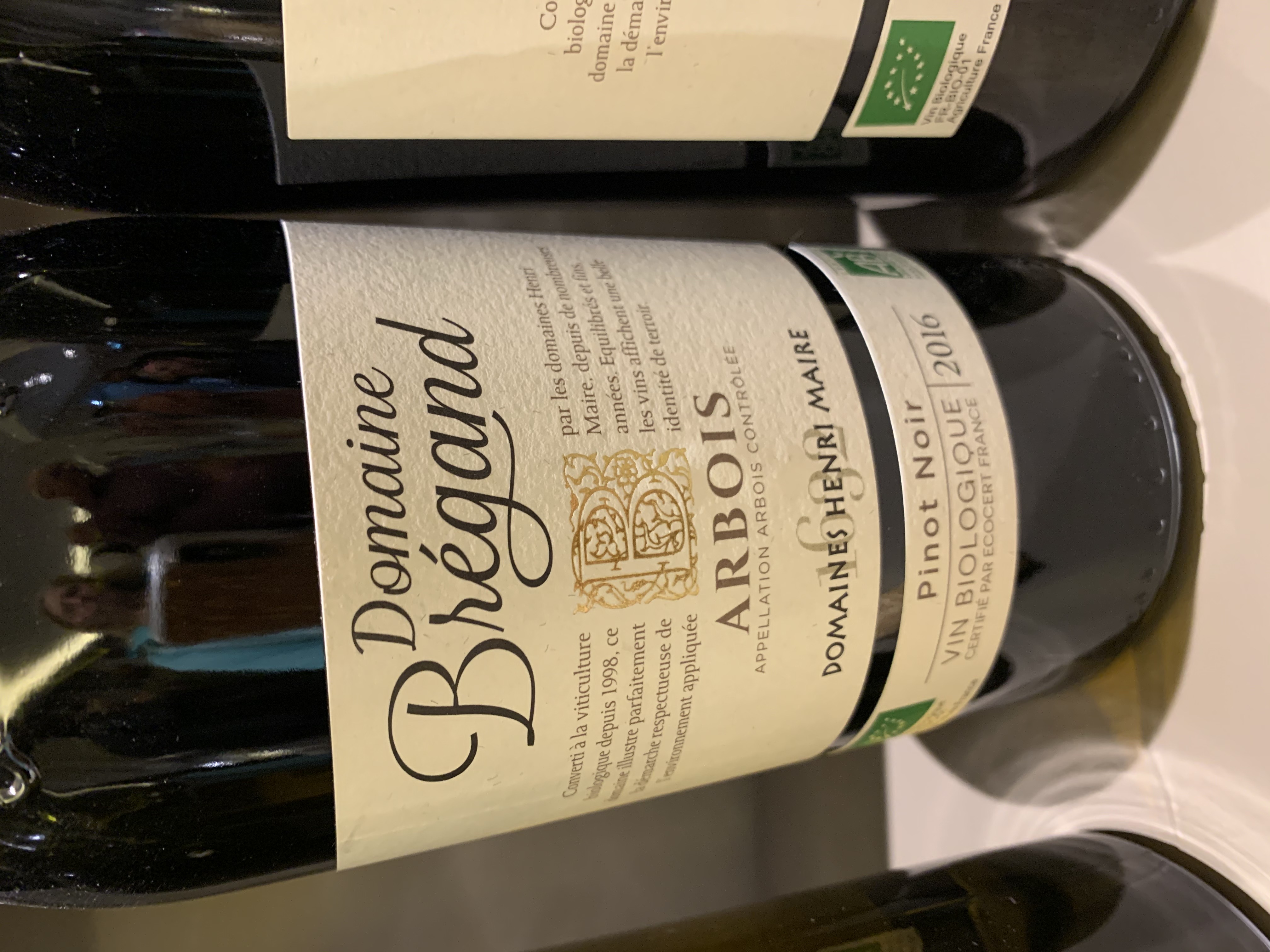 IMG_1546.jpeg IMG_1546.jpeg