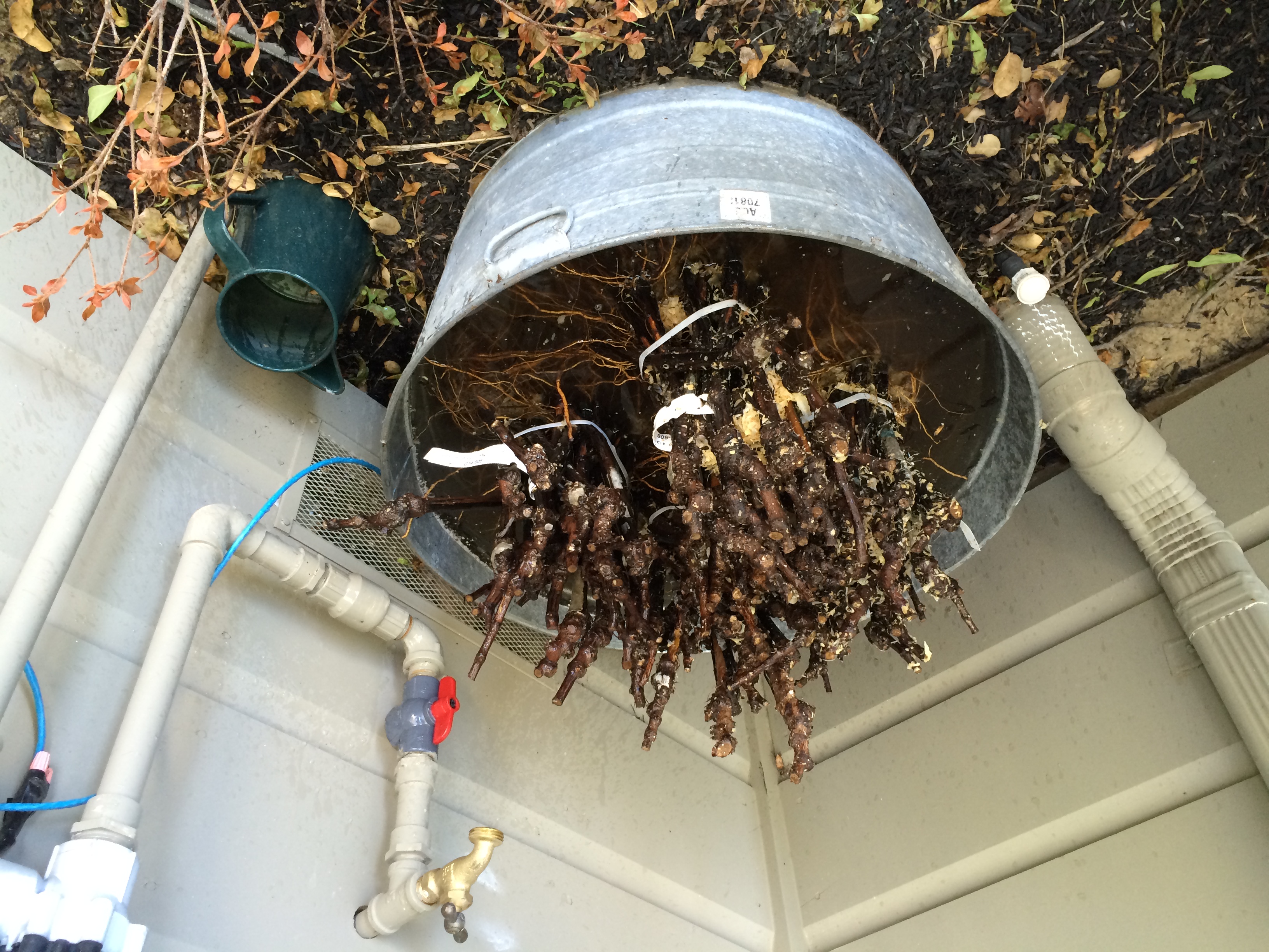 IMG_0249.jpeg IMG_0249.jpeg