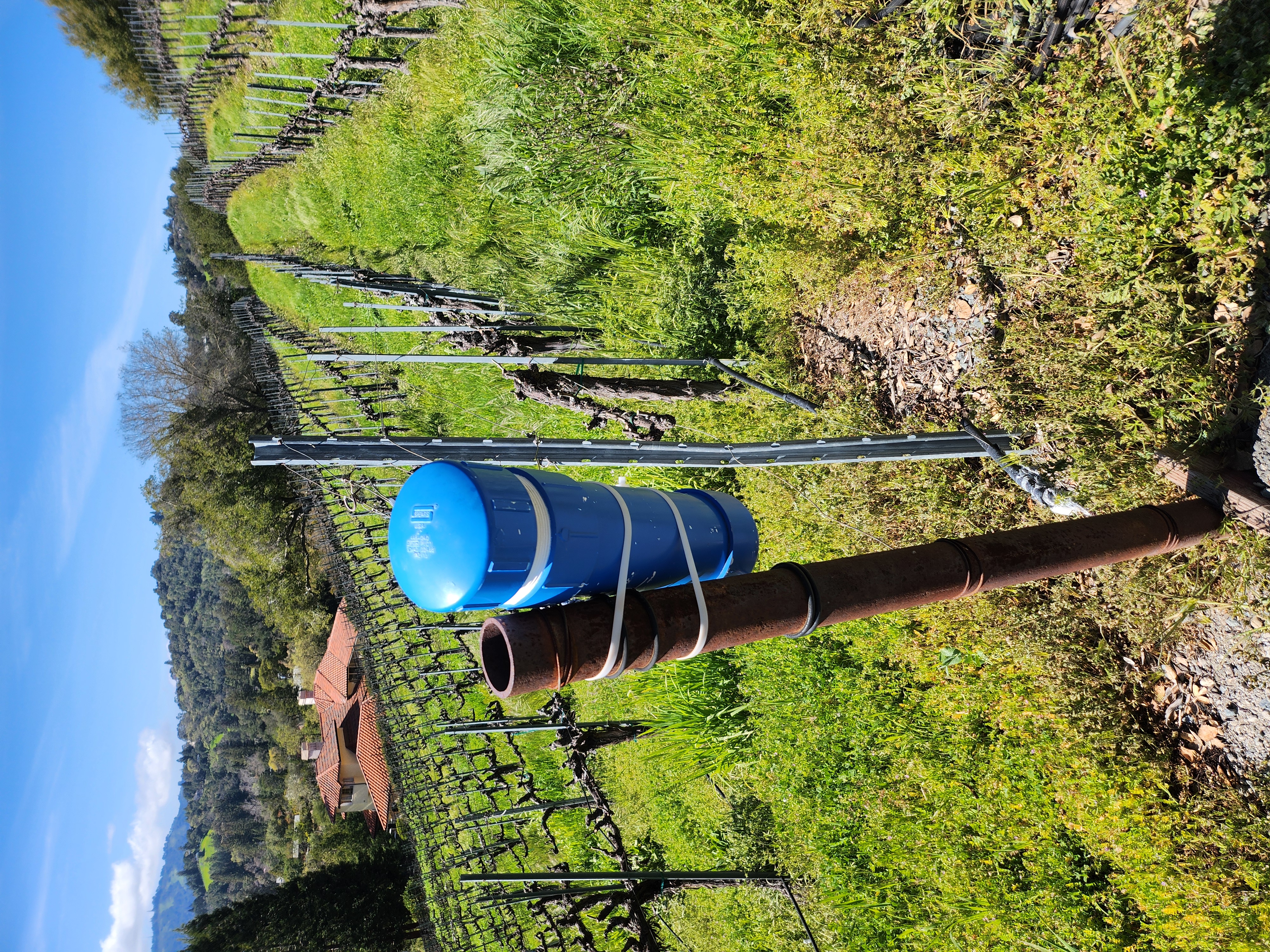 20250309_135615 (002).jpg 20250309_135615 (002).jpg