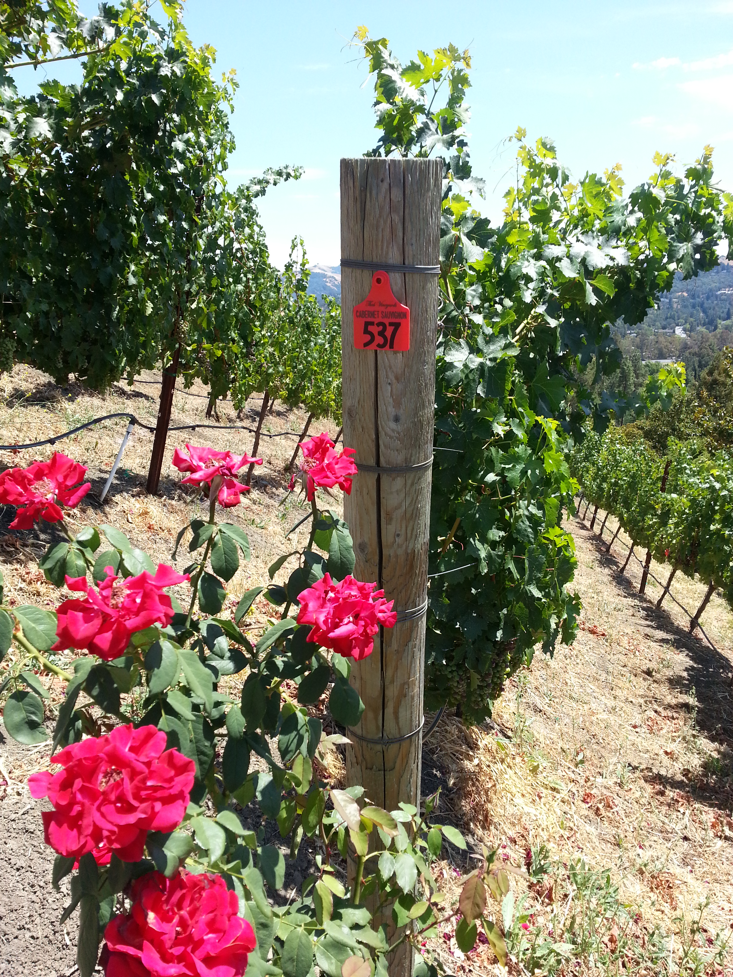 20140719_142825.jpg 20140719_142825.jpg