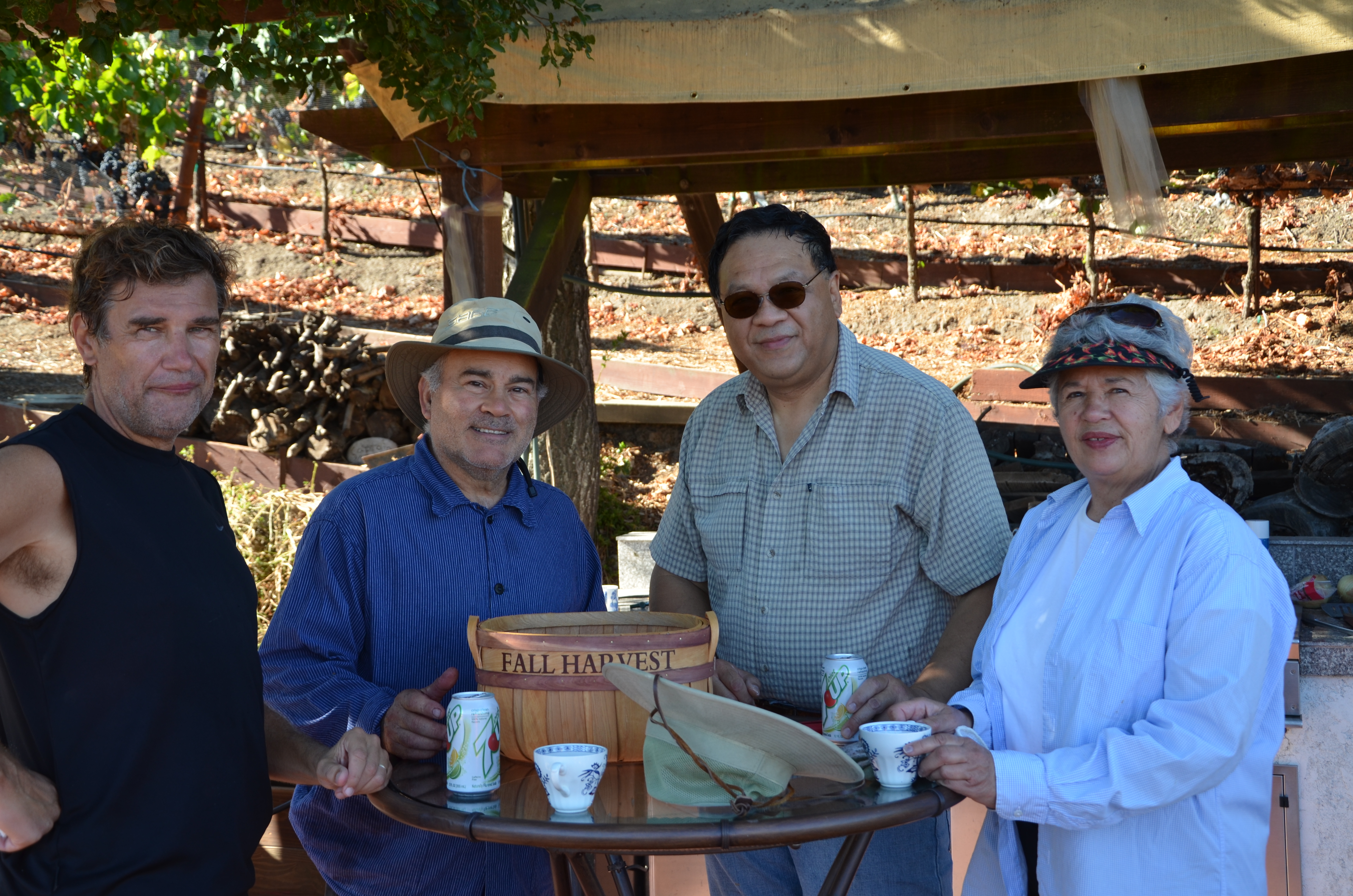 harvest photo.JPG harvest photo.JPG