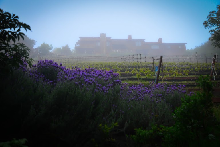 lavendarhome.jpg lavendarhome.jpg