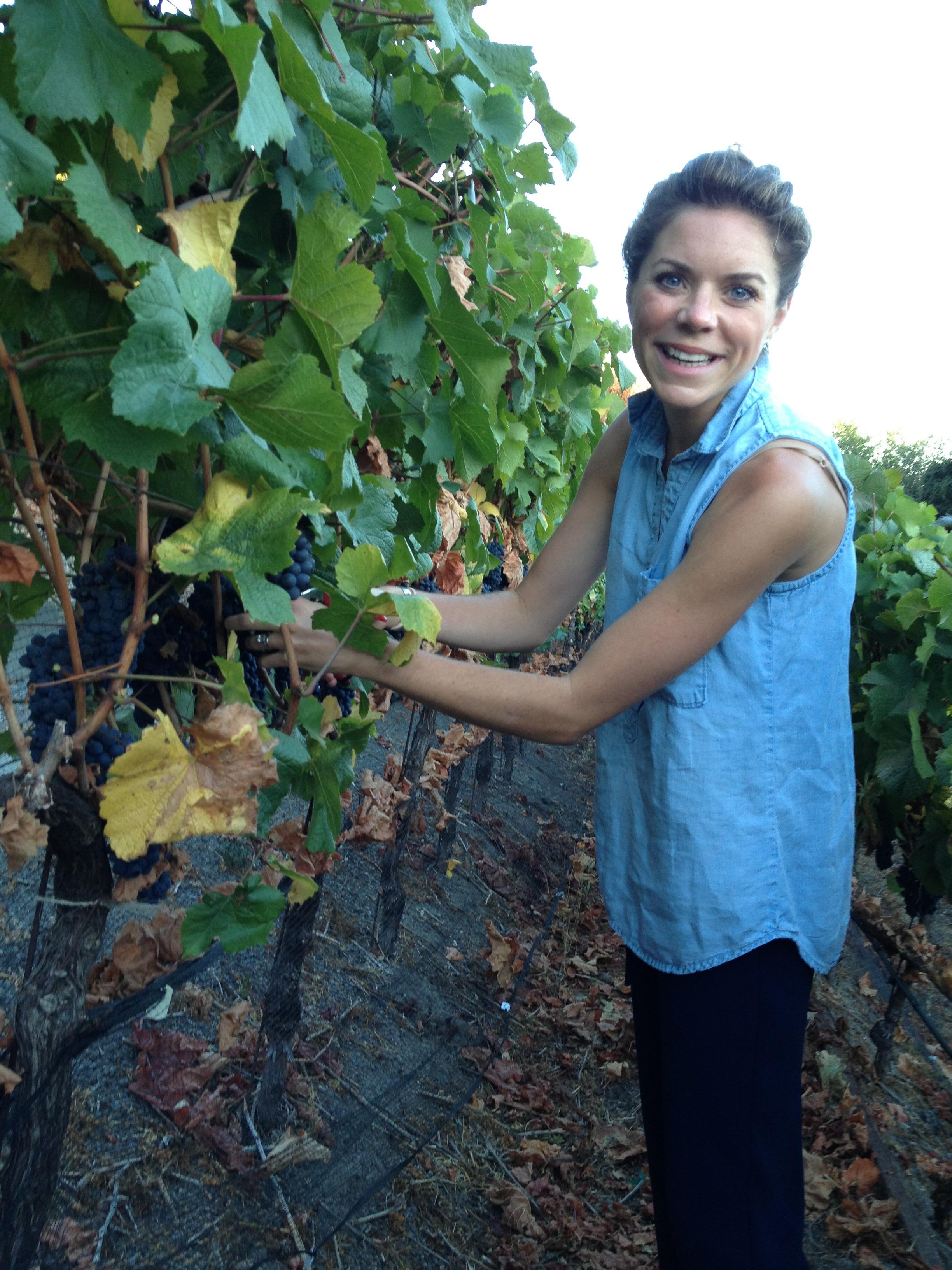 IMG_1323.JPG IMG_1323.JPG