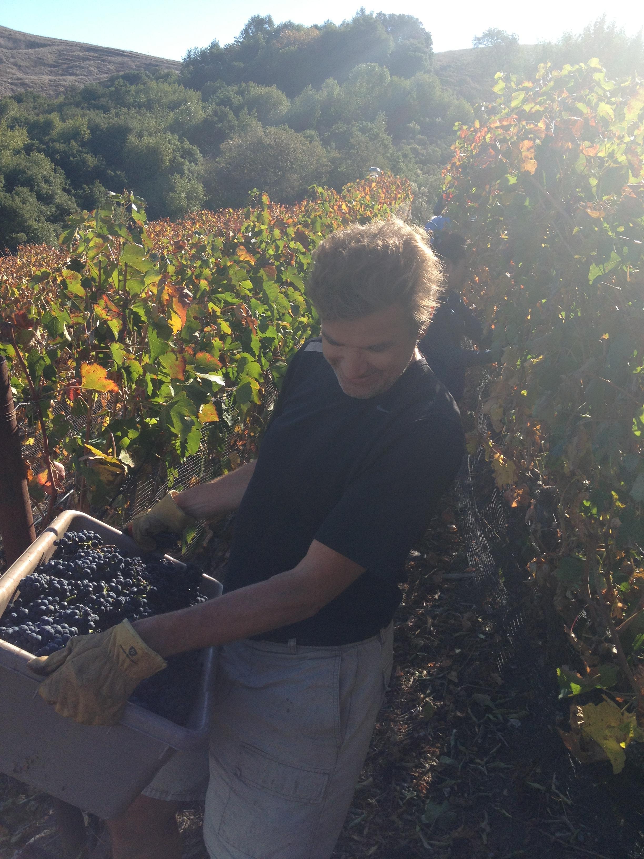 IMG_1466.JPG IMG_1466.JPG