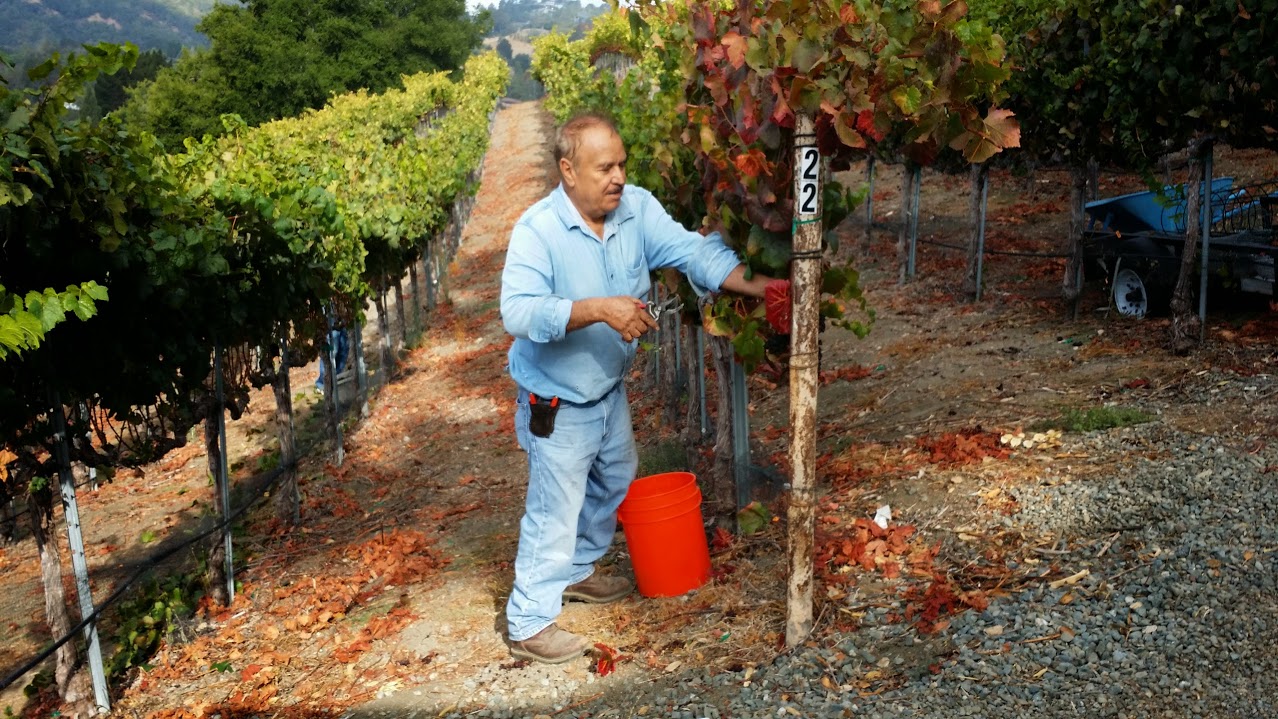 20140906_092910.jpg 20140906_092910.jpg