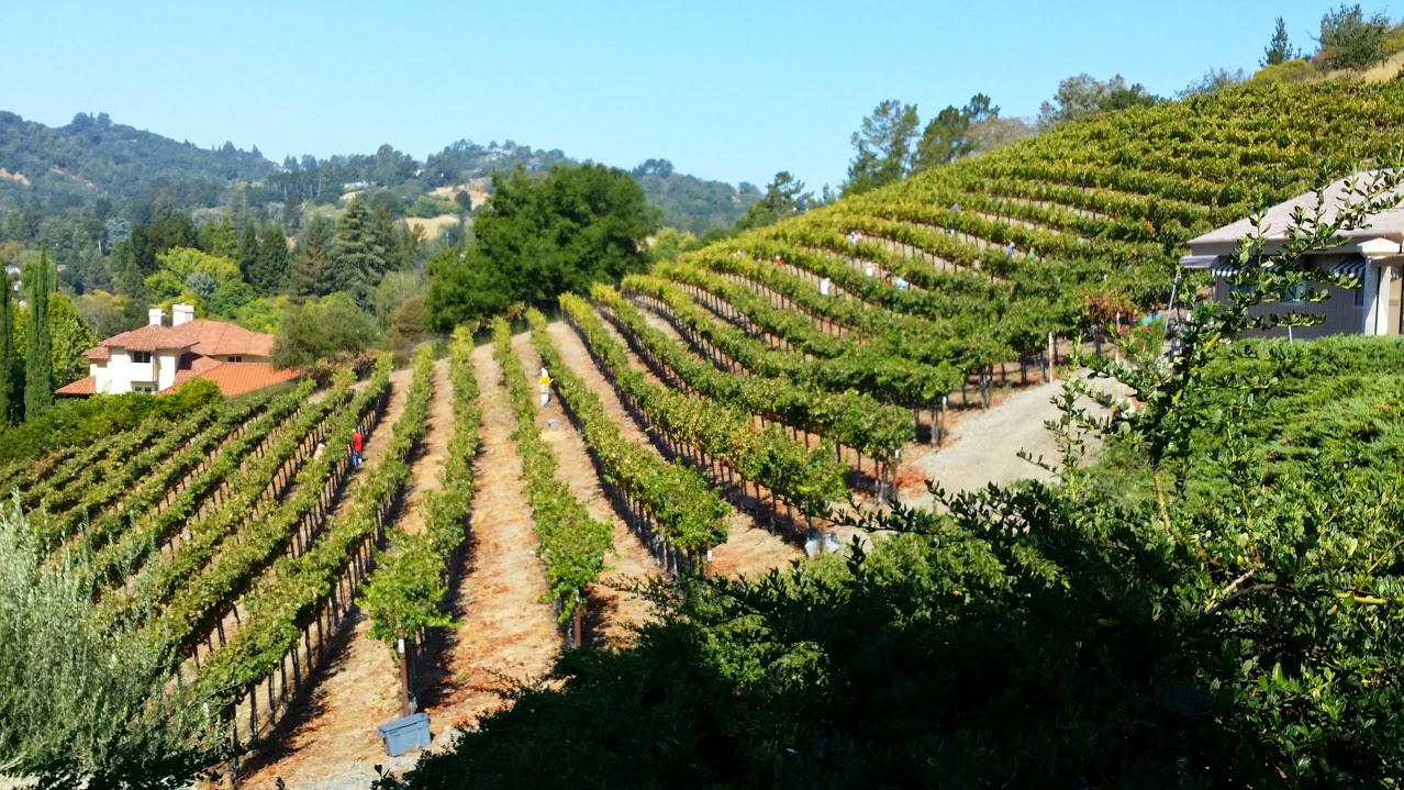 20140906_104856.jpg 20140906_104856.jpg