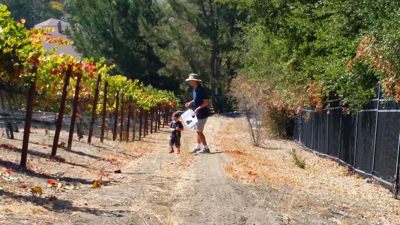 20140906_110759.jpg 20140906_110759.jpg