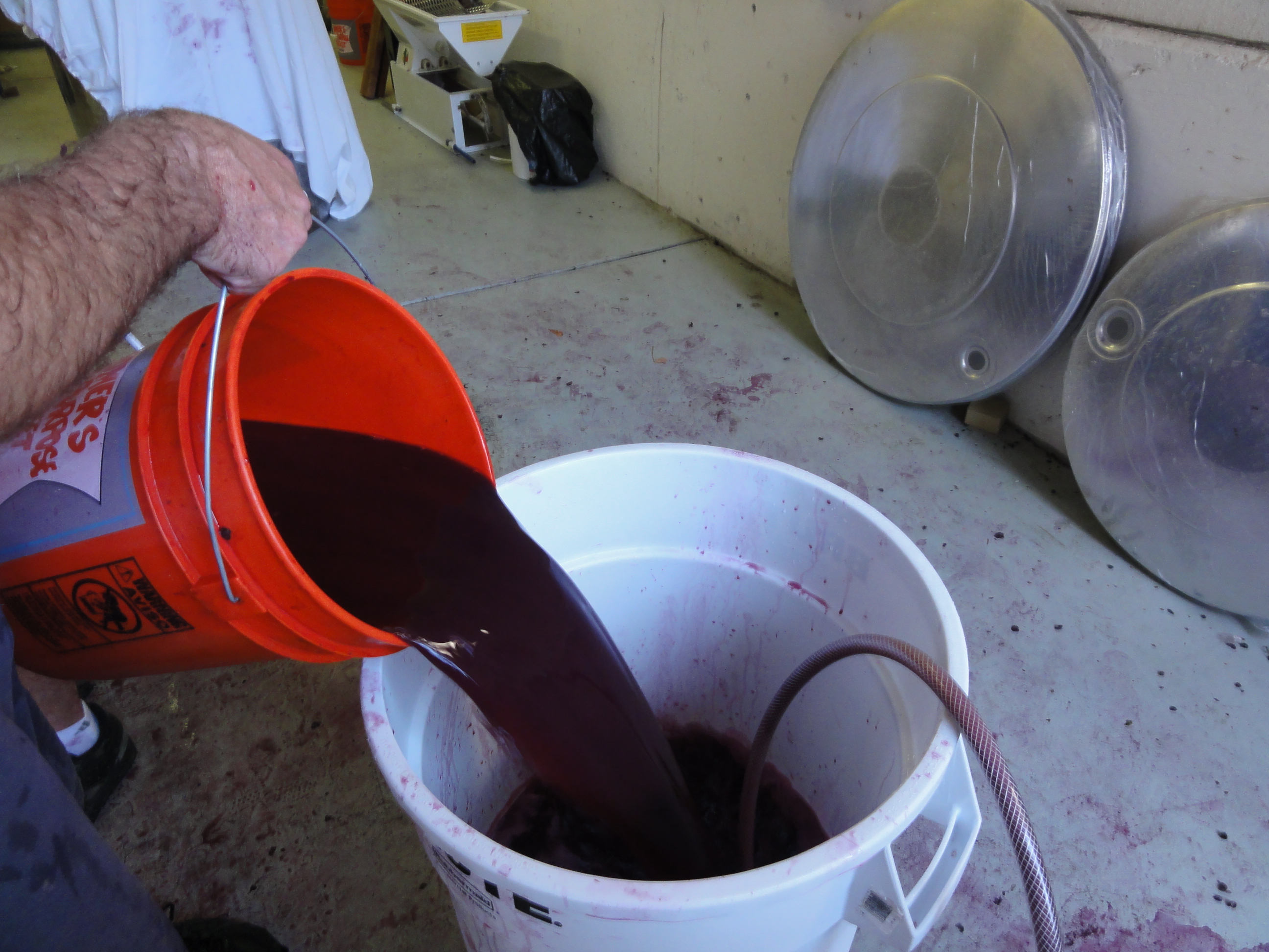 DSC00955.JPG DSC00955.JPG