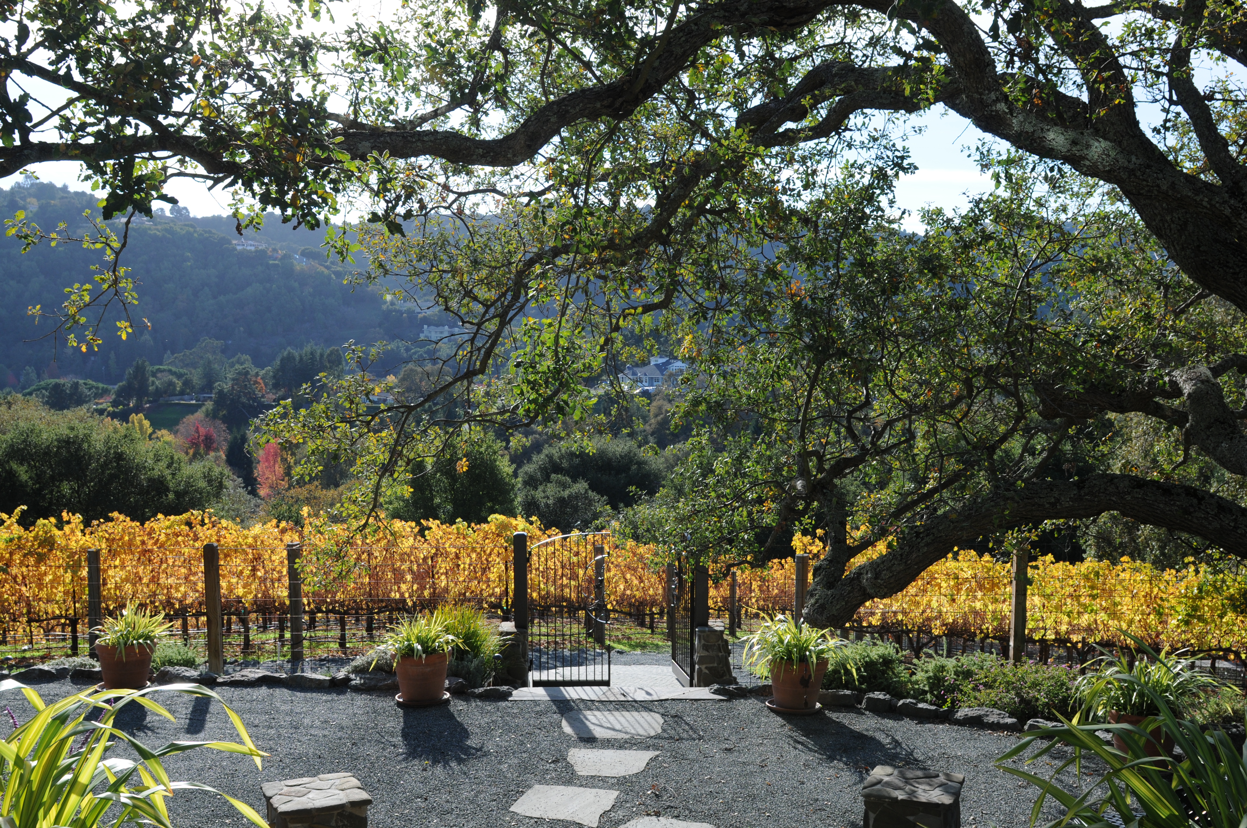 Reliez Valley Vineyards Reliez Valley Vineyards