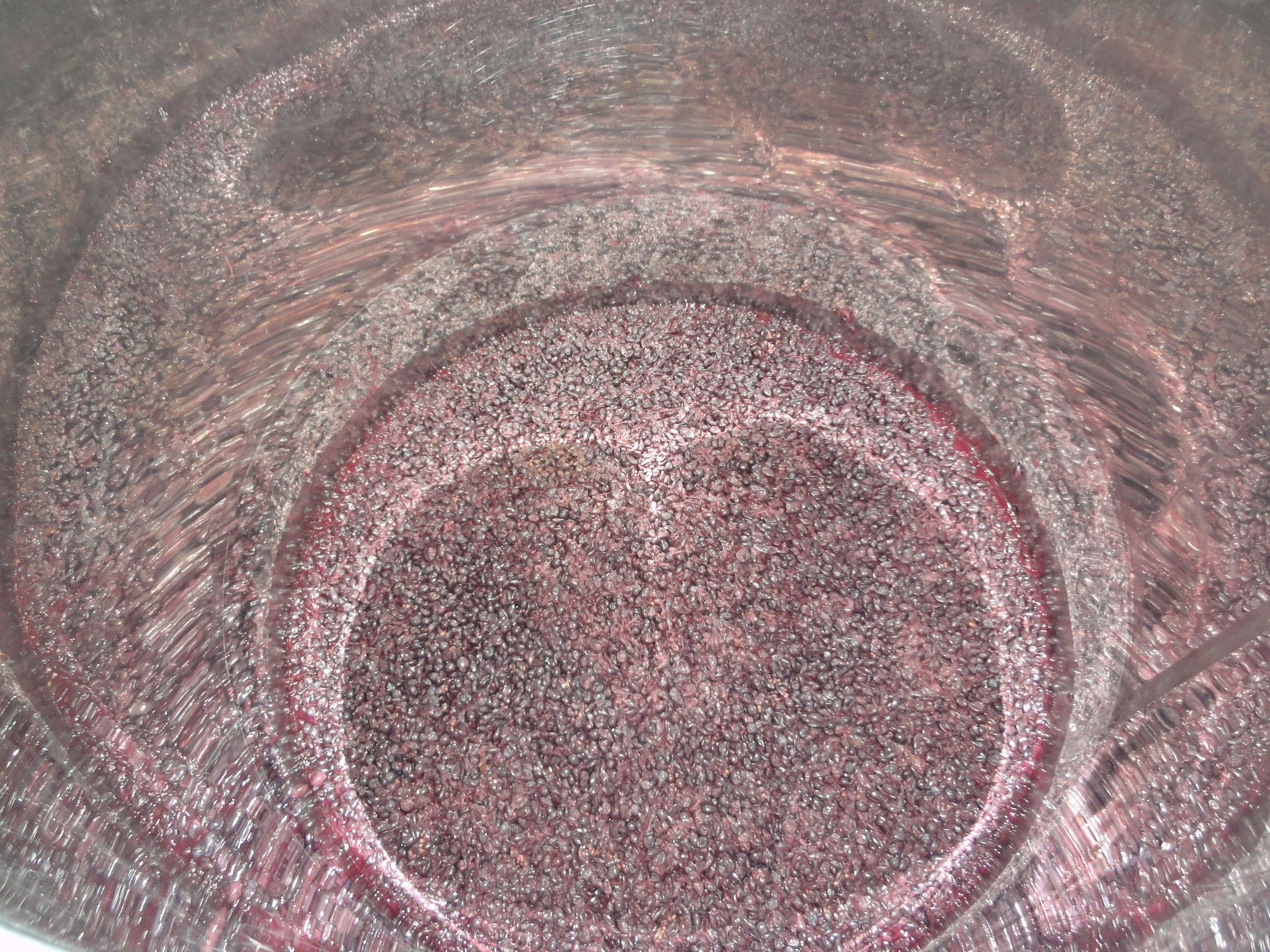 DSC00953.JPG DSC00953.JPG