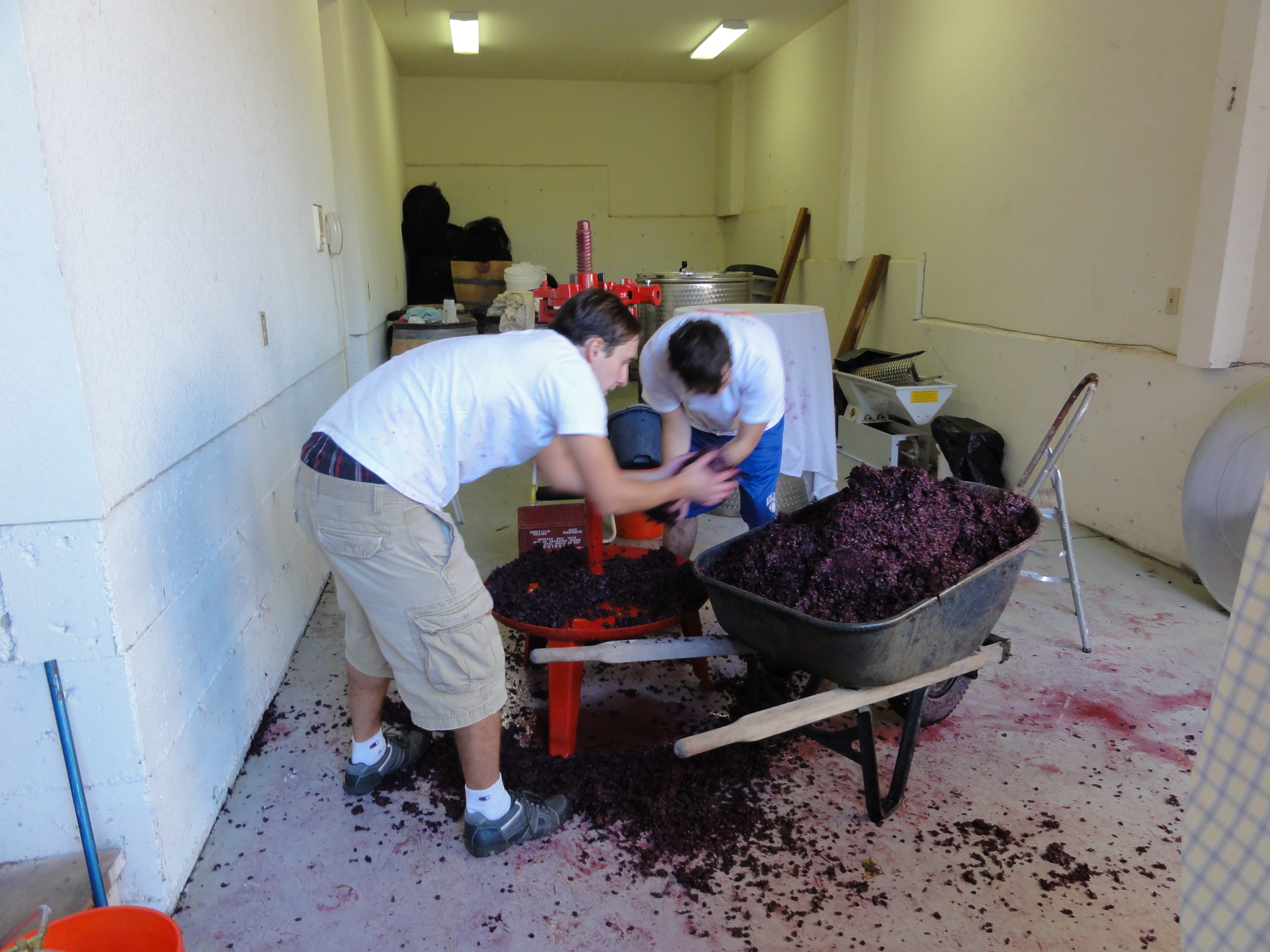 DSC00952.JPG DSC00952.JPG