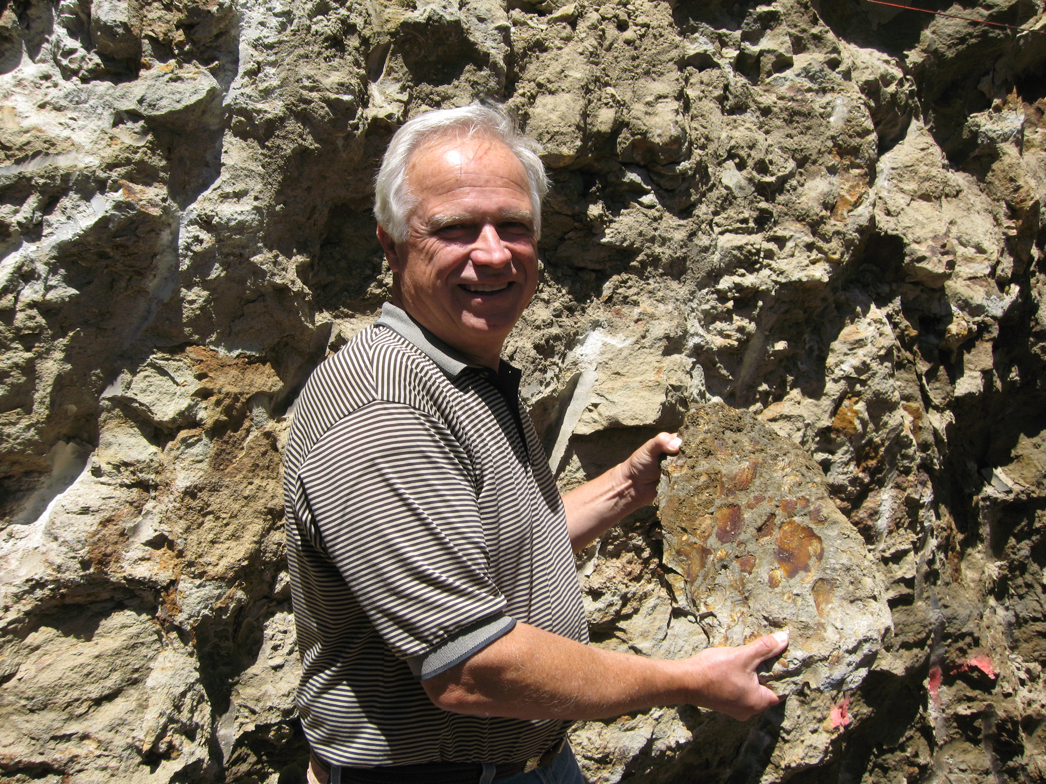 Reliez Valley Vineyards Cave Excavation Fossils Reliez Valley Vineyards Cave Excavation Fossils